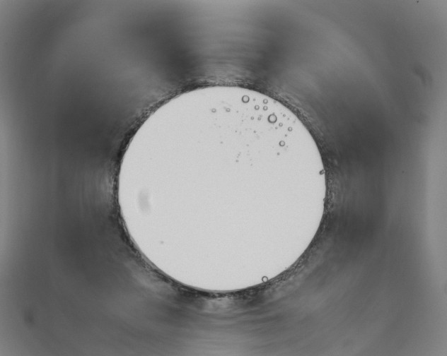 X0000111210309200908121138