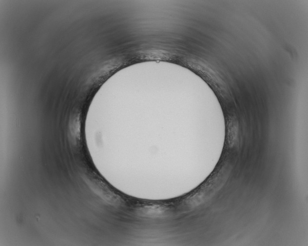 X0000111210310200908121138