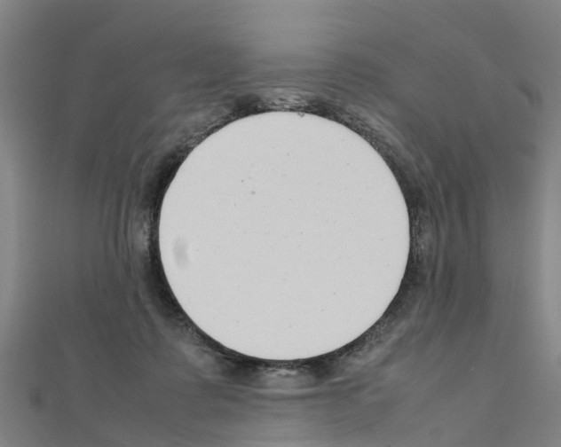 X0000111210315200908121138