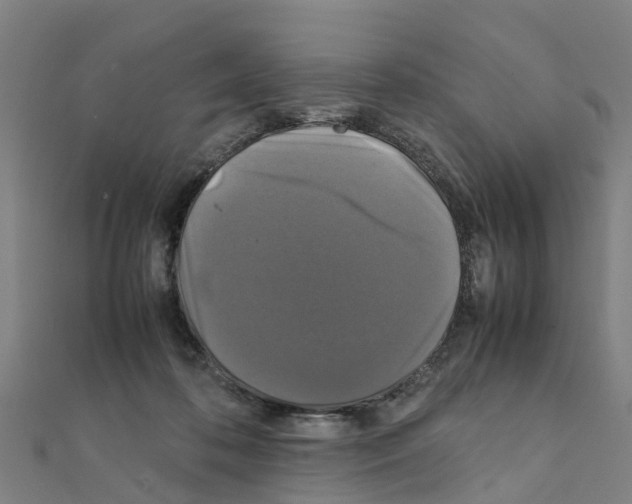 X0000111210316200908121138