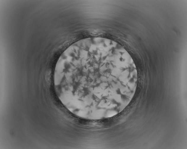 X0000111210319200908121138