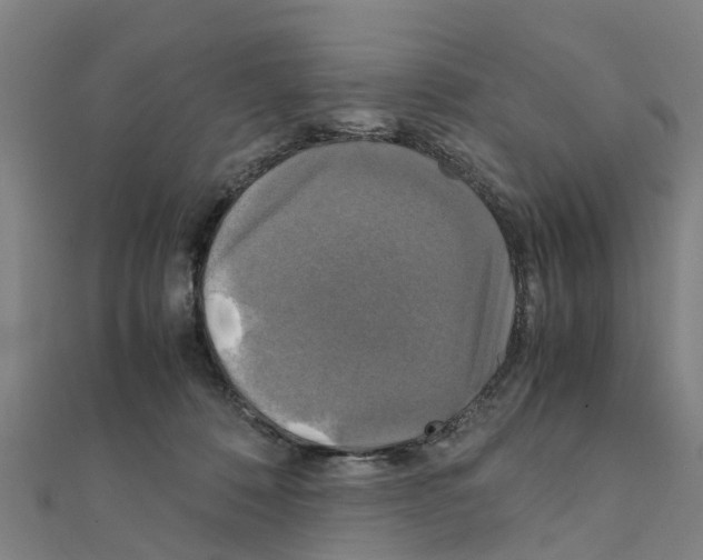 X0000111210320200908121138