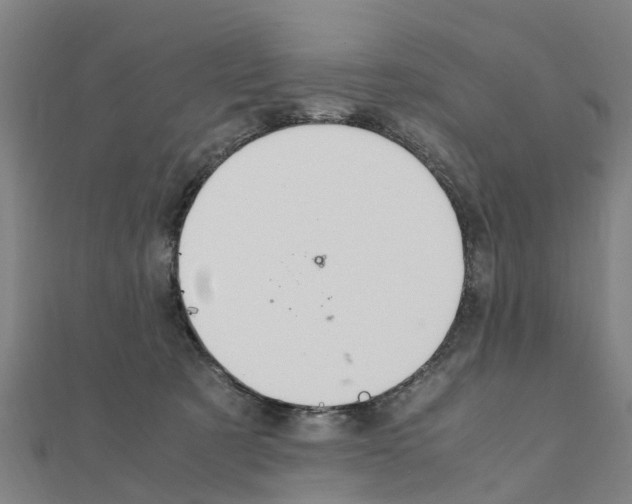 X0000111210321200908121138