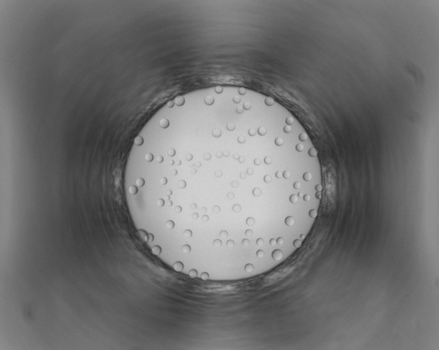 X0000111210322200908121138