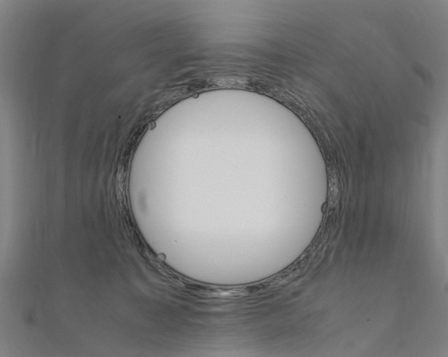 X0000111210323200908121138