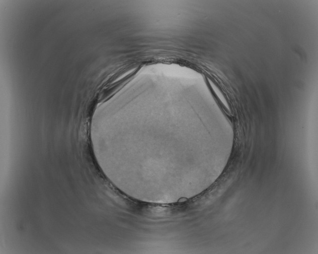 X0000111210325200908121138