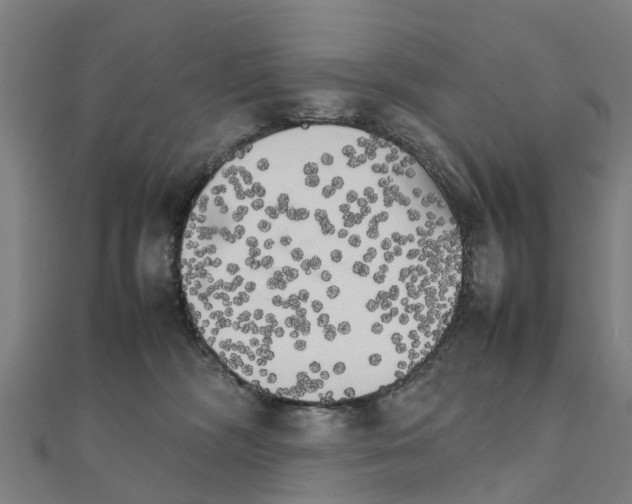 X0000111210326200908121138