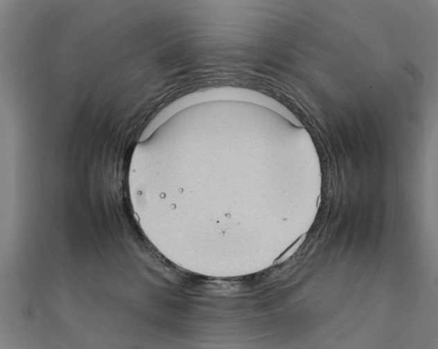 X0000111210328200908121138