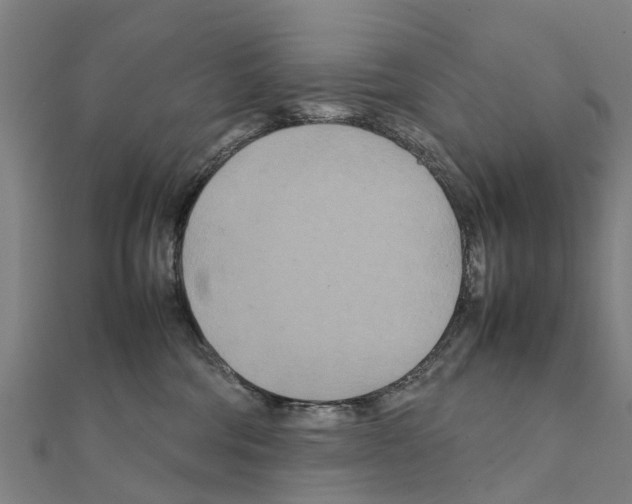 X0000111210330200908121138