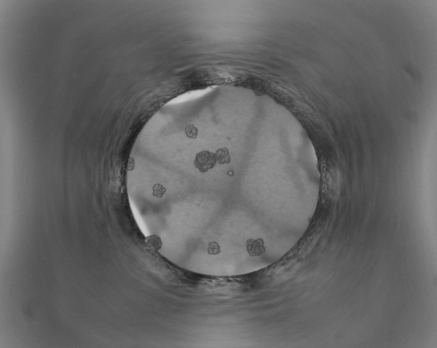 X0000111210331200908121138