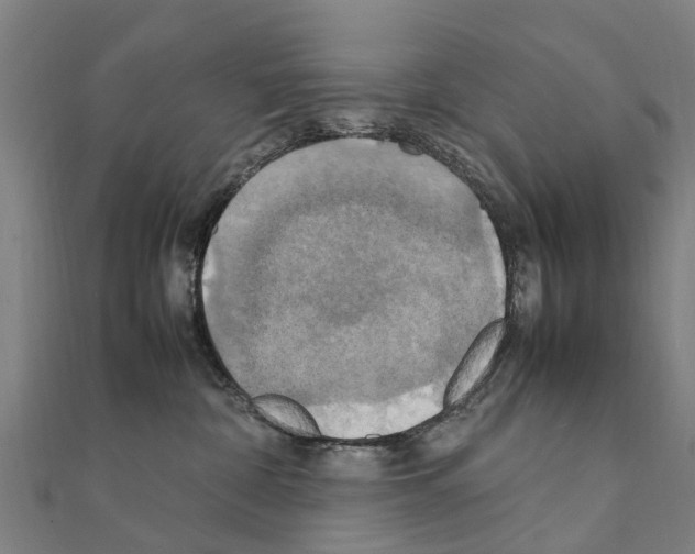 X0000111210332200908121138