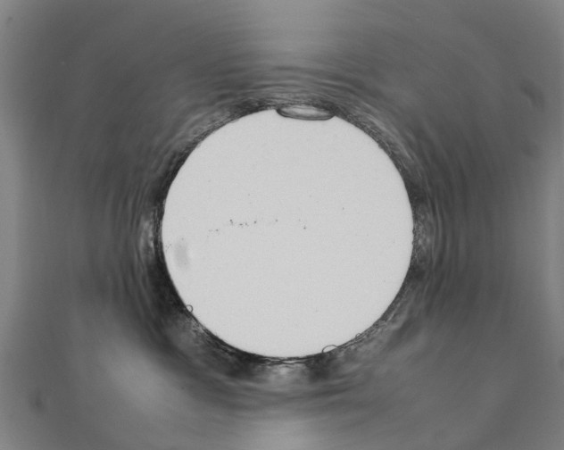 X0000111210333200908121138