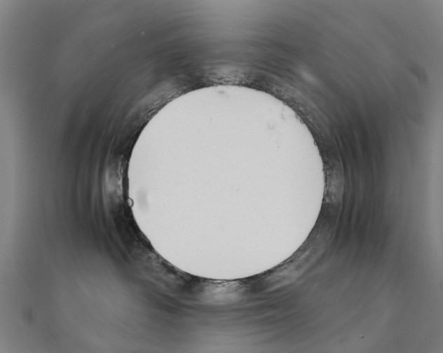 X0000111210334200908121138