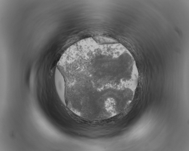 X0000111210335200908121138