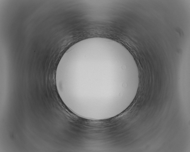 X0000111210336200908121138