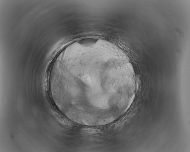 X0000111210339200908121137