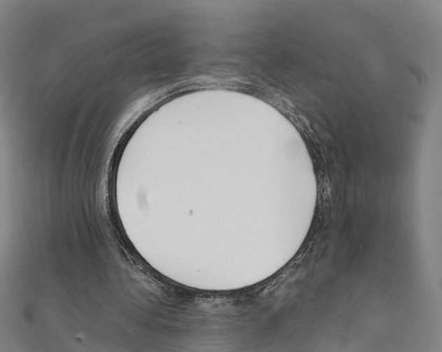 X0000111210340200908121137