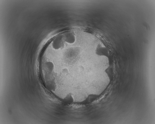 X0000111210343200908121137