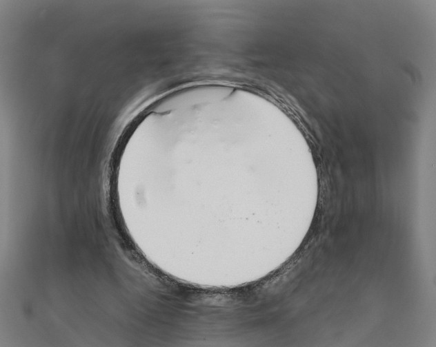 X0000111210344200908121137