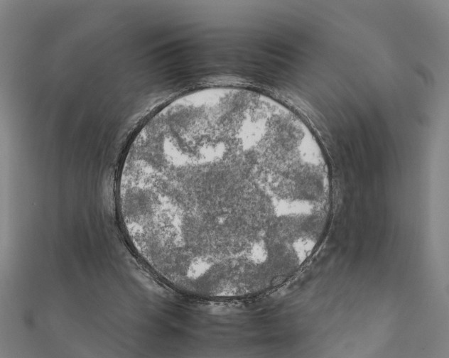 X0000111210345200908121137