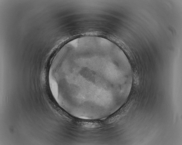 X0000111210347200908121137