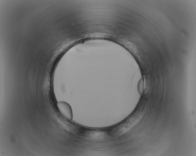 X0000111210348200908121137