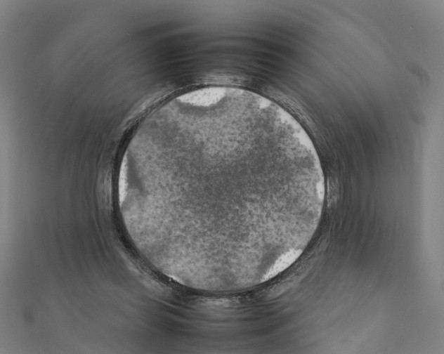 X0000111210349200908121137