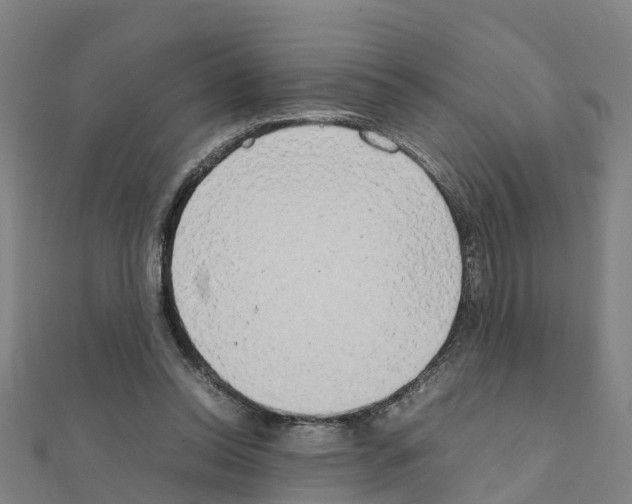 X0000111210350200908121137