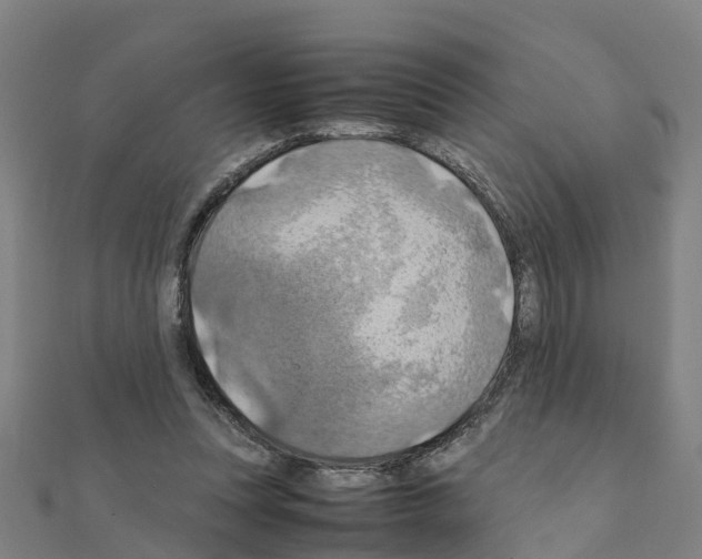 X0000111210351200908121137