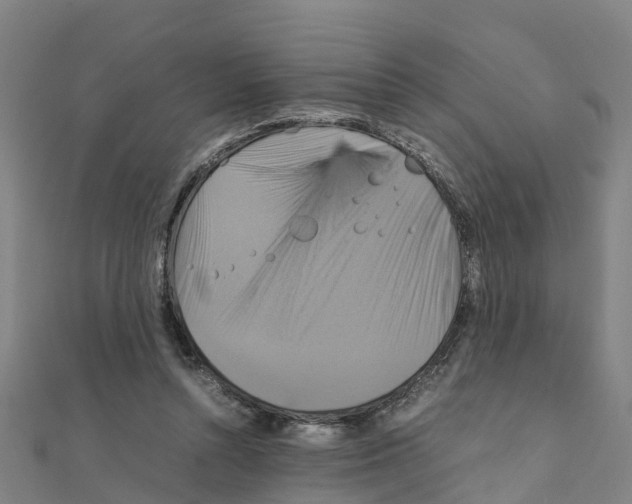 X0000111210352200908121137