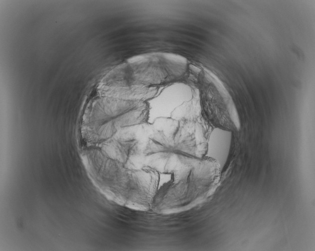 X0000111210353200908121137