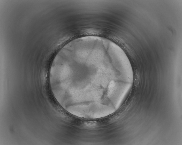 X0000111210355200908121137