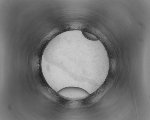 X0000111210356200908121137