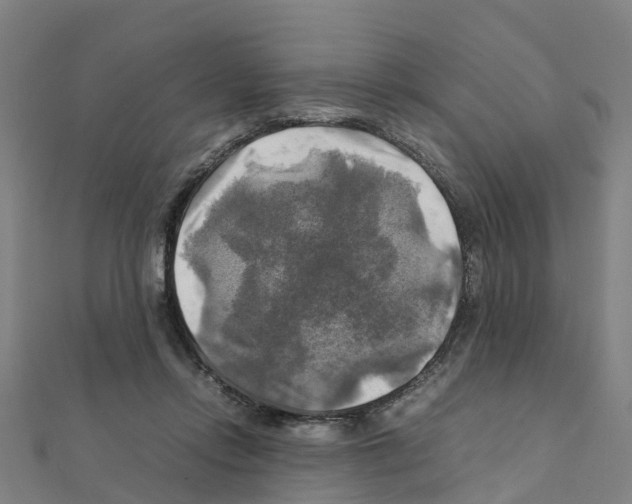 X0000111210358200908121137