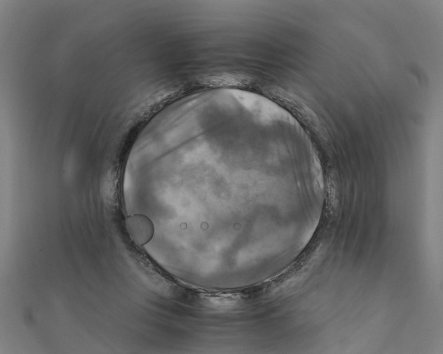 X0000111210359200908121137