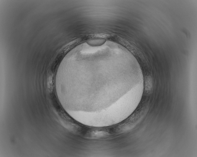 X0000111210360200908121137