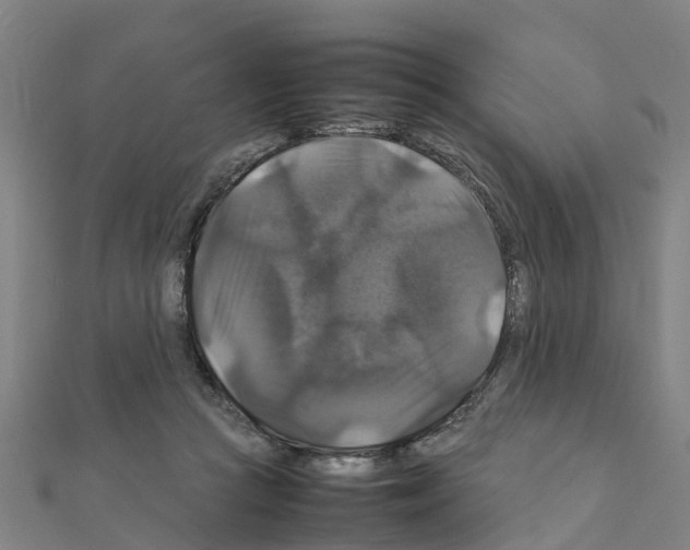 X0000111210361200908121137