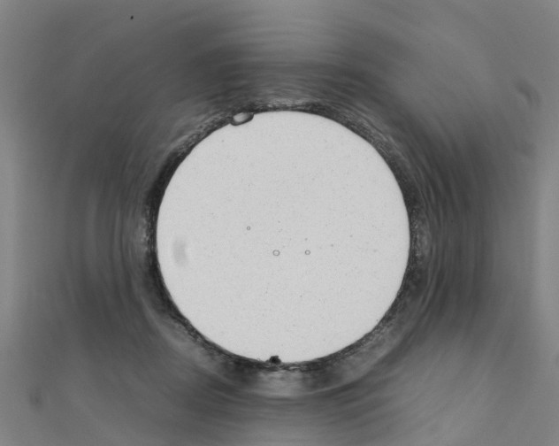 X0000111210362200908121137