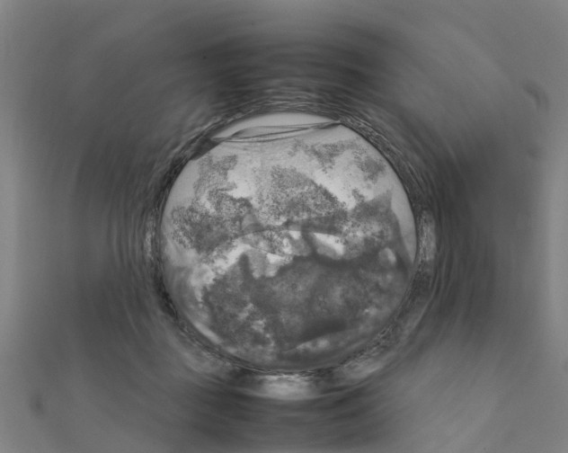 X0000111210363200908121137