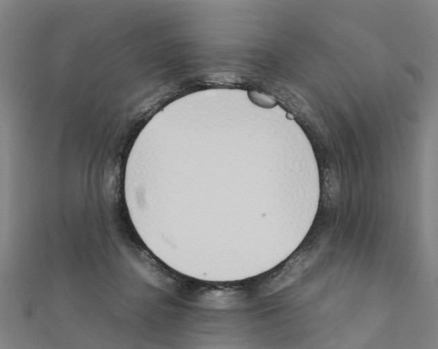 X0000111210364200908121137