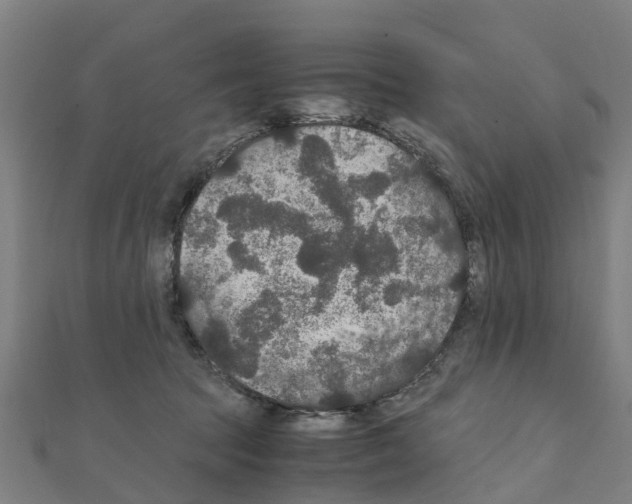 X0000111210369200908121138