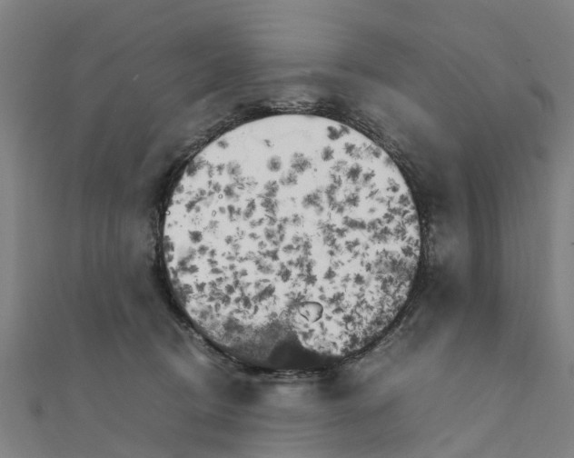 X0000111210370200908121138