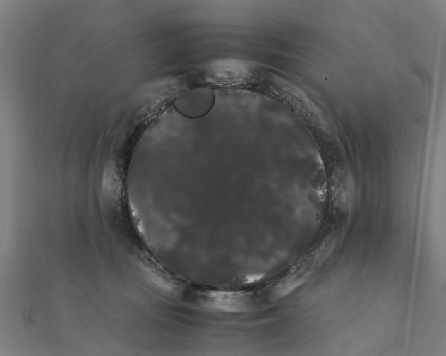 X0000111210371200908121138