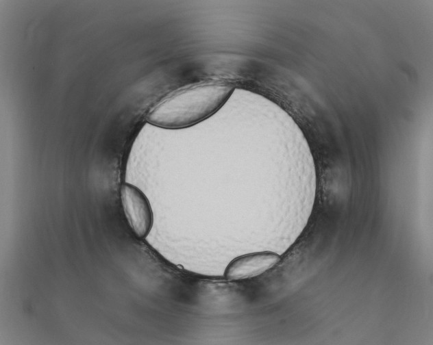 X0000111210372200908121138