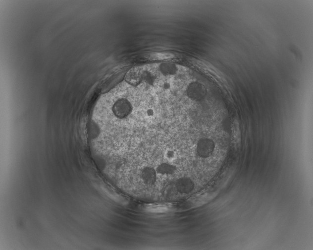 X0000111210373200908121138