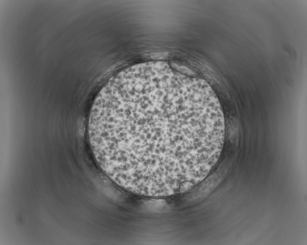 X0000111210374200908121138