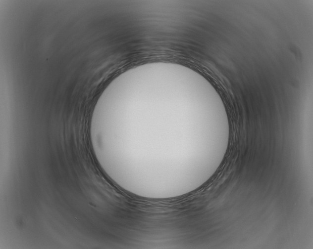 X0000111210376200908121138