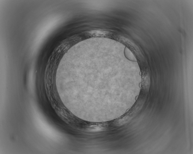 X0000111210381200908121138