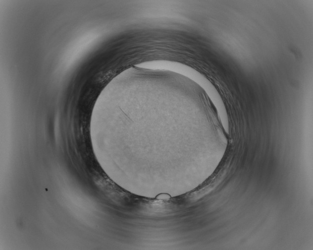 X0000111210382200908121138