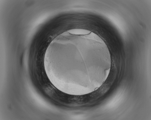 X0000111210383200908121138